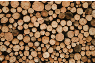 Reducing the carbon footprint in construction with timber